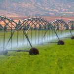 Irrigation Techniques for Water Conservation