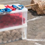 Storage Bins for Seasonal Items